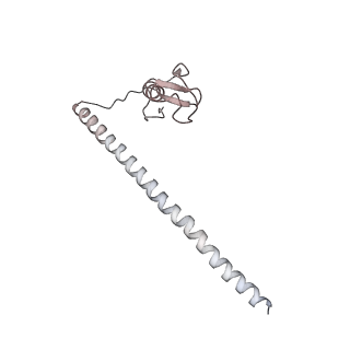 6817_5y88_t_v2-1
Cryo-EM structure of the intron-lariat spliceosome ready for disassembly from S.cerevisiae at 3.5 angstrom