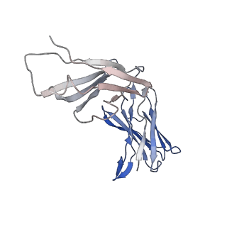 10731_6y90_C_v1-0
Structure of full-length CD20 in complex with Rituximab Fab