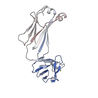 10731_6y90_D_v1-0
Structure of full-length CD20 in complex with Rituximab Fab