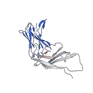 10731_6y90_H_v1-0
Structure of full-length CD20 in complex with Rituximab Fab
