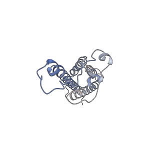 10732_6y92_A_v1-0
Structure of full-length CD20 in complex with Ofatumumab Fab