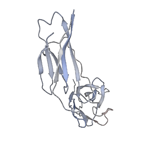 10732_6y92_C_v1-0
Structure of full-length CD20 in complex with Ofatumumab Fab
