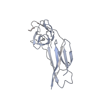 10732_6y92_H_v1-0
Structure of full-length CD20 in complex with Ofatumumab Fab