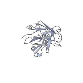 10734_6y9a_L_v1-2
Structure of full-length CD20 in complex with Obinutuzumab Fab