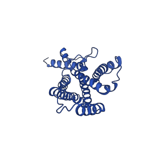 10735_6y9b_A_v1-2
Cryo-EM structure of trimeric human STEAP1 bound to three Fab120.545 fragments