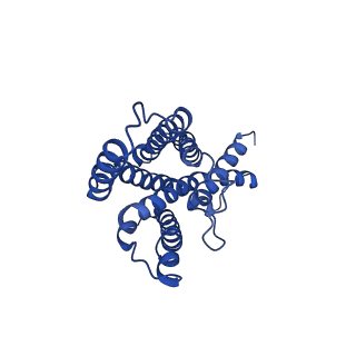 10735_6y9b_B_v1-2
Cryo-EM structure of trimeric human STEAP1 bound to three Fab120.545 fragments