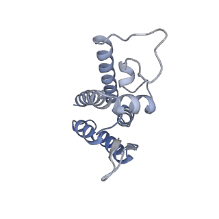 10739_6y9w_A_v1-2
Structure of the native full-length HIV-1 capsid protein in complex with Cyclophilin A from helical assembly (-13,8)