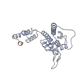 10739_6y9w_H_v1-2
Structure of the native full-length HIV-1 capsid protein in complex with Cyclophilin A from helical assembly (-13,8)