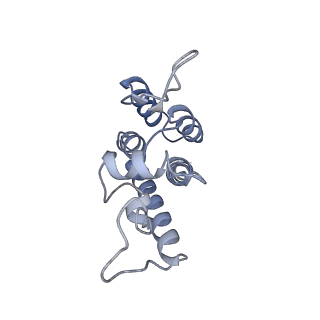10739_6y9w_Y_v1-2
Structure of the native full-length HIV-1 capsid protein in complex with Cyclophilin A from helical assembly (-13,8)