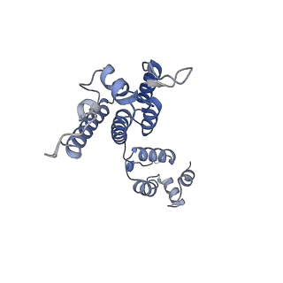 10739_6y9w_e_v1-2
Structure of the native full-length HIV-1 capsid protein in complex with Cyclophilin A from helical assembly (-13,8)