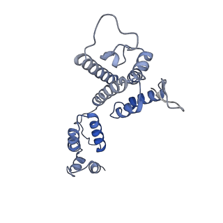 10739_6y9w_k_v1-2
Structure of the native full-length HIV-1 capsid protein in complex with Cyclophilin A from helical assembly (-13,8)