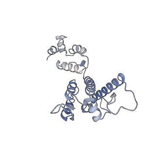 10740_6y9x_B_v1-2
Structure of the native full-length HIV-1 capsid protein in complex with Cyclophilin A from helical assembly (-13,7)
