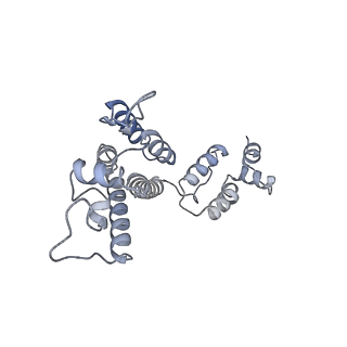 10740_6y9x_D_v1-2
Structure of the native full-length HIV-1 capsid protein in complex with Cyclophilin A from helical assembly (-13,7)