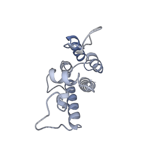 10740_6y9x_Y_v1-2
Structure of the native full-length HIV-1 capsid protein in complex with Cyclophilin A from helical assembly (-13,7)