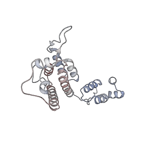 10740_6y9x_d_v1-2
Structure of the native full-length HIV-1 capsid protein in complex with Cyclophilin A from helical assembly (-13,7)