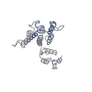 10740_6y9x_e_v1-2
Structure of the native full-length HIV-1 capsid protein in complex with Cyclophilin A from helical assembly (-13,7)