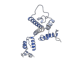 10740_6y9x_k_v1-2
Structure of the native full-length HIV-1 capsid protein in complex with Cyclophilin A from helical assembly (-13,7)