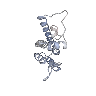 10742_6y9z_A_v1-2
Structure of the native full-length HIV-1 capsid protein in complex with Cyclophilin A from helical assembly (-13,9)