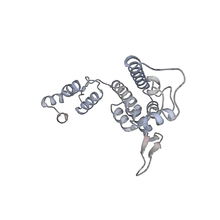 10742_6y9z_H_v1-2
Structure of the native full-length HIV-1 capsid protein in complex with Cyclophilin A from helical assembly (-13,9)