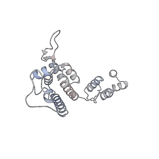 10742_6y9z_d_v1-2
Structure of the native full-length HIV-1 capsid protein in complex with Cyclophilin A from helical assembly (-13,9)
