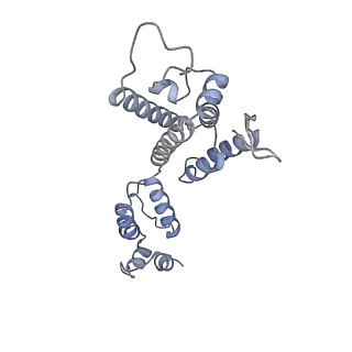 10742_6y9z_k_v1-2
Structure of the native full-length HIV-1 capsid protein in complex with Cyclophilin A from helical assembly (-13,9)