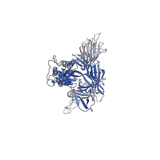 33690_7y9s_C_v1-1
Cryo-EM structure of apo SARS-CoV-2 Omicron spike protein (S-2P-GSAS)