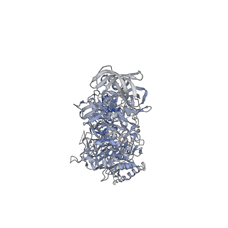 33696_7y9y_A_v1-1
Structure of the Cas7-11-Csx29-guide RNA-target RNA (no PFS) complex
