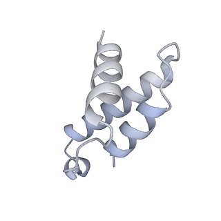 33696_7y9y_B_v1-1
Structure of the Cas7-11-Csx29-guide RNA-target RNA (no PFS) complex