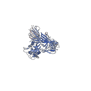 33697_7y9z_A_v1-0
Cryo-EM structure of SARS-CoV-2 Omicron spike protein (S-6P-RRAR) in complex with human ACE2 ectodomain (one-RBD-up state)