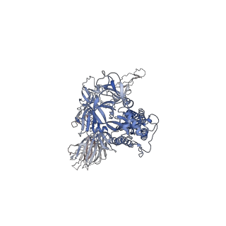 33697_7y9z_C_v1-0
Cryo-EM structure of SARS-CoV-2 Omicron spike protein (S-6P-RRAR) in complex with human ACE2 ectodomain (one-RBD-up state)