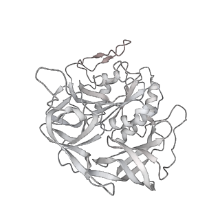 10760_6yal_B_v1-1
Mammalian 48S late-stage initiation complex with beta-globin mRNA