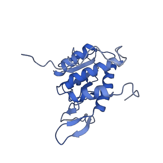 10760_6yal_C_v1-1
Mammalian 48S late-stage initiation complex with beta-globin mRNA