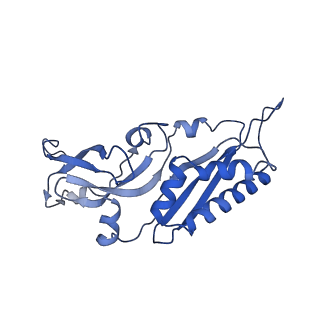10760_6yal_D_v1-1
Mammalian 48S late-stage initiation complex with beta-globin mRNA