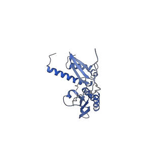 10760_6yal_F_v1-1
Mammalian 48S late-stage initiation complex with beta-globin mRNA
