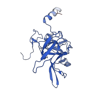 10760_6yal_G_v1-1
Mammalian 48S late-stage initiation complex with beta-globin mRNA