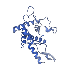 10760_6yal_H_v1-1
Mammalian 48S late-stage initiation complex with beta-globin mRNA