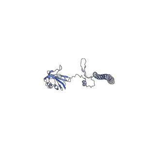 10760_6yal_I_v1-1
Mammalian 48S late-stage initiation complex with beta-globin mRNA