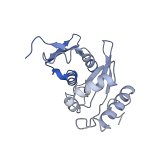 10760_6yal_J_v1-1
Mammalian 48S late-stage initiation complex with beta-globin mRNA