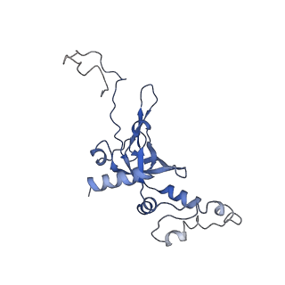 10760_6yal_K_v1-1
Mammalian 48S late-stage initiation complex with beta-globin mRNA