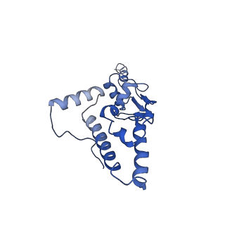 10760_6yal_L_v1-1
Mammalian 48S late-stage initiation complex with beta-globin mRNA
