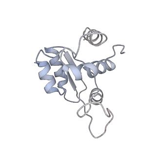 10760_6yal_O_v1-1
Mammalian 48S late-stage initiation complex with beta-globin mRNA