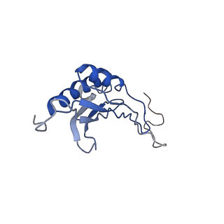 10760_6yal_Q_v1-1
Mammalian 48S late-stage initiation complex with beta-globin mRNA