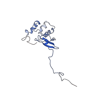 10760_6yal_R_v1-1
Mammalian 48S late-stage initiation complex with beta-globin mRNA