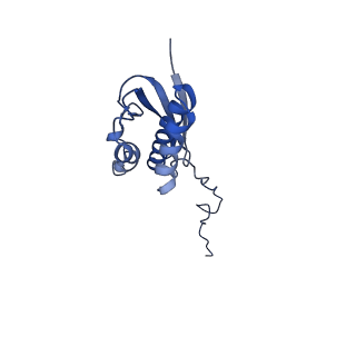 10760_6yal_S_v1-1
Mammalian 48S late-stage initiation complex with beta-globin mRNA