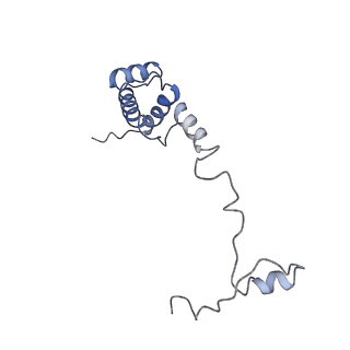 10760_6yal_T_v1-1
Mammalian 48S late-stage initiation complex with beta-globin mRNA
