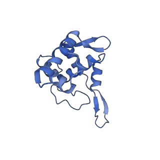 10760_6yal_V_v1-1
Mammalian 48S late-stage initiation complex with beta-globin mRNA