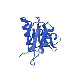 10760_6yal_Y_v1-1
Mammalian 48S late-stage initiation complex with beta-globin mRNA