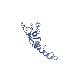 10760_6yal_Z_v1-1
Mammalian 48S late-stage initiation complex with beta-globin mRNA