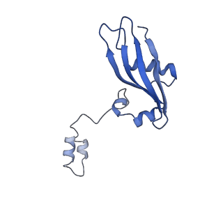 10760_6yal_a_v1-1
Mammalian 48S late-stage initiation complex with beta-globin mRNA