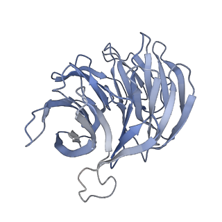 10760_6yal_g_v1-1
Mammalian 48S late-stage initiation complex with beta-globin mRNA